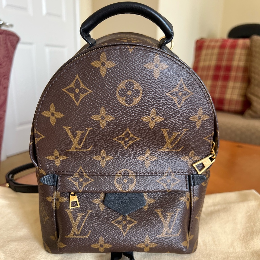 Louis Vuitton Palm Springs mini Backpack